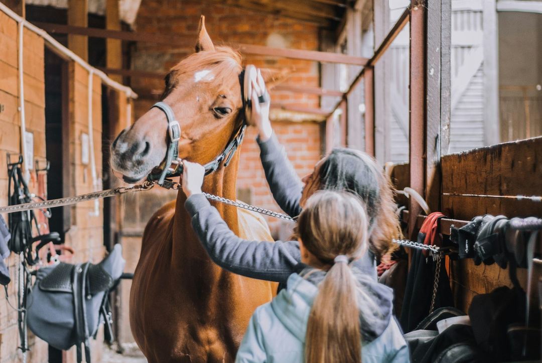 Two friends in a stable aisle, one reaching up to a horse's face