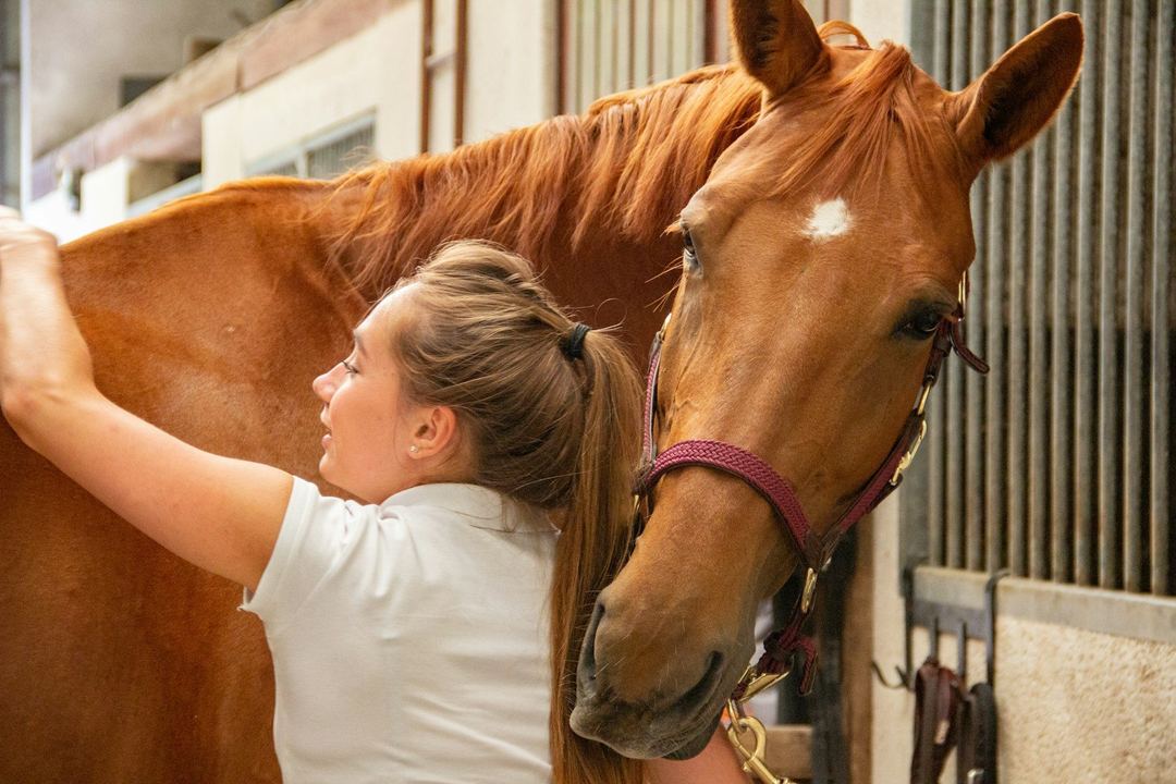 A woman in a white shirt brushes a chestnut horse in a stable aisle