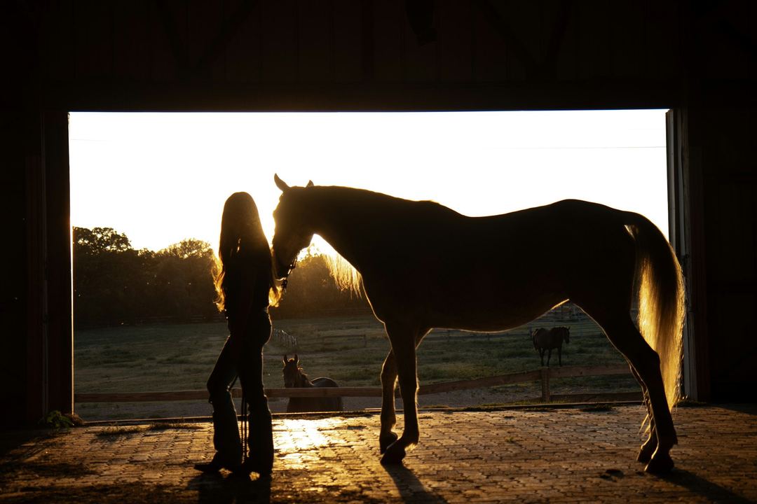 A woman leads her horse through a barn door at sunset